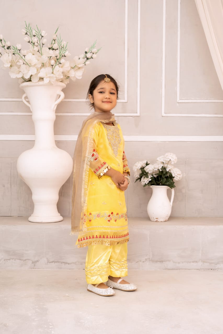 Girls full embroidered three piece silk Eid collection