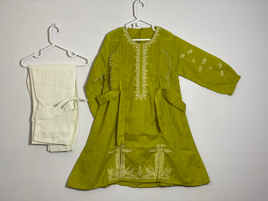Light green embroided frock style airline shirt with cotton stylish trouser