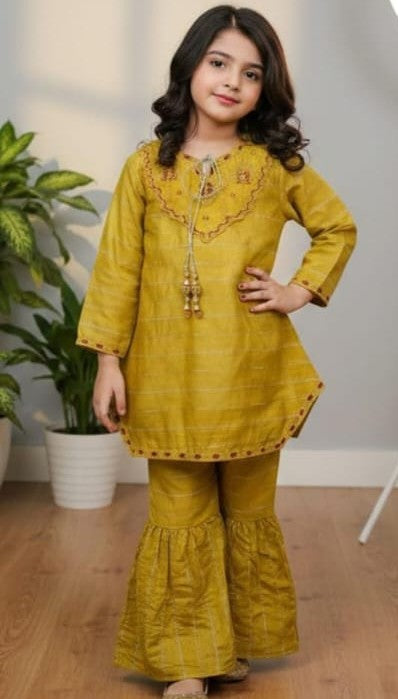 Girls paper cotton+zari embroidered shirts with gharara
